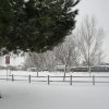 la grande nevicata del febbraio 2012 008